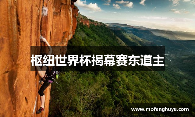 枢纽世界杯揭幕赛东道主